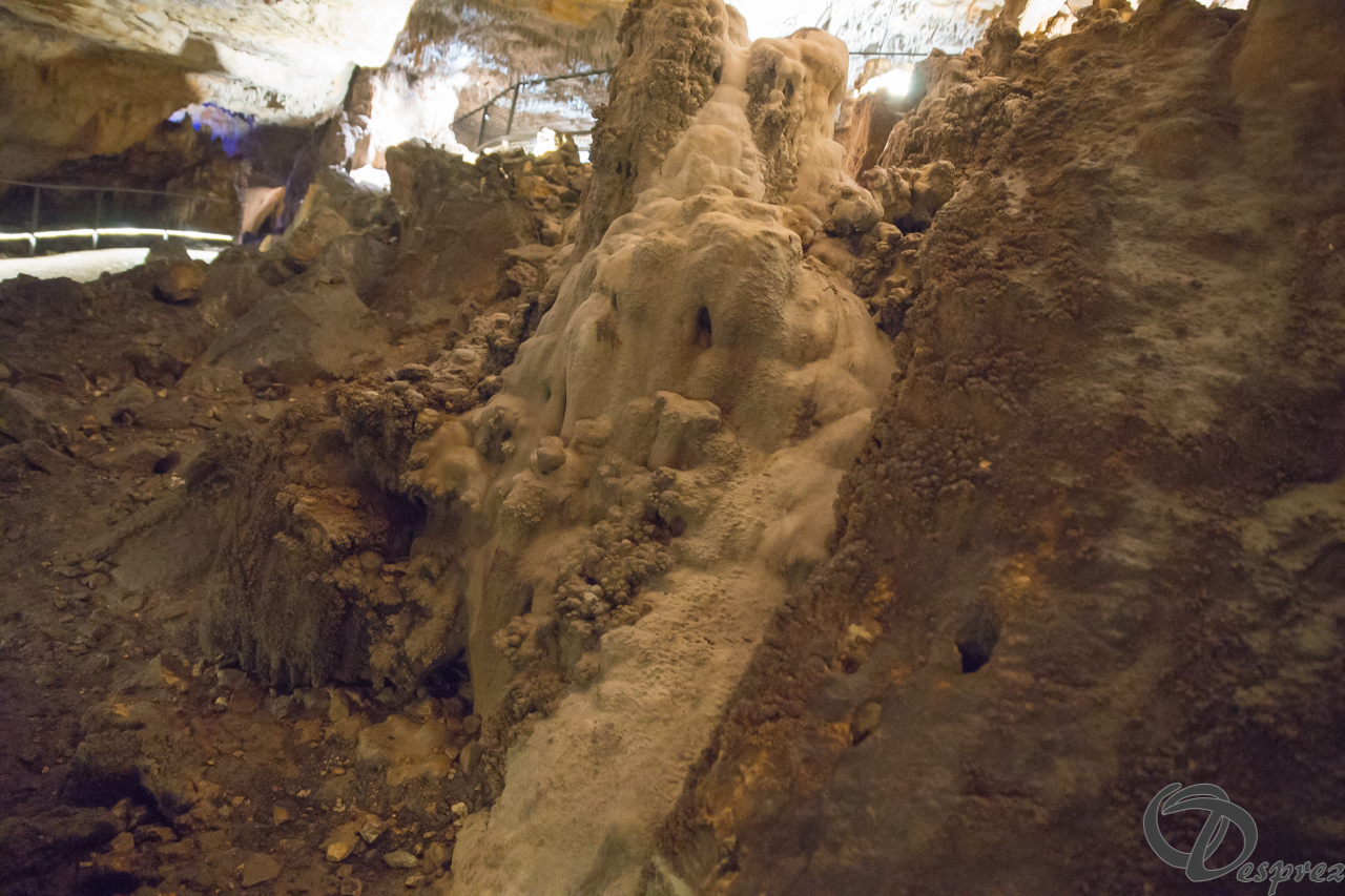 2021-août-12-DSC09061