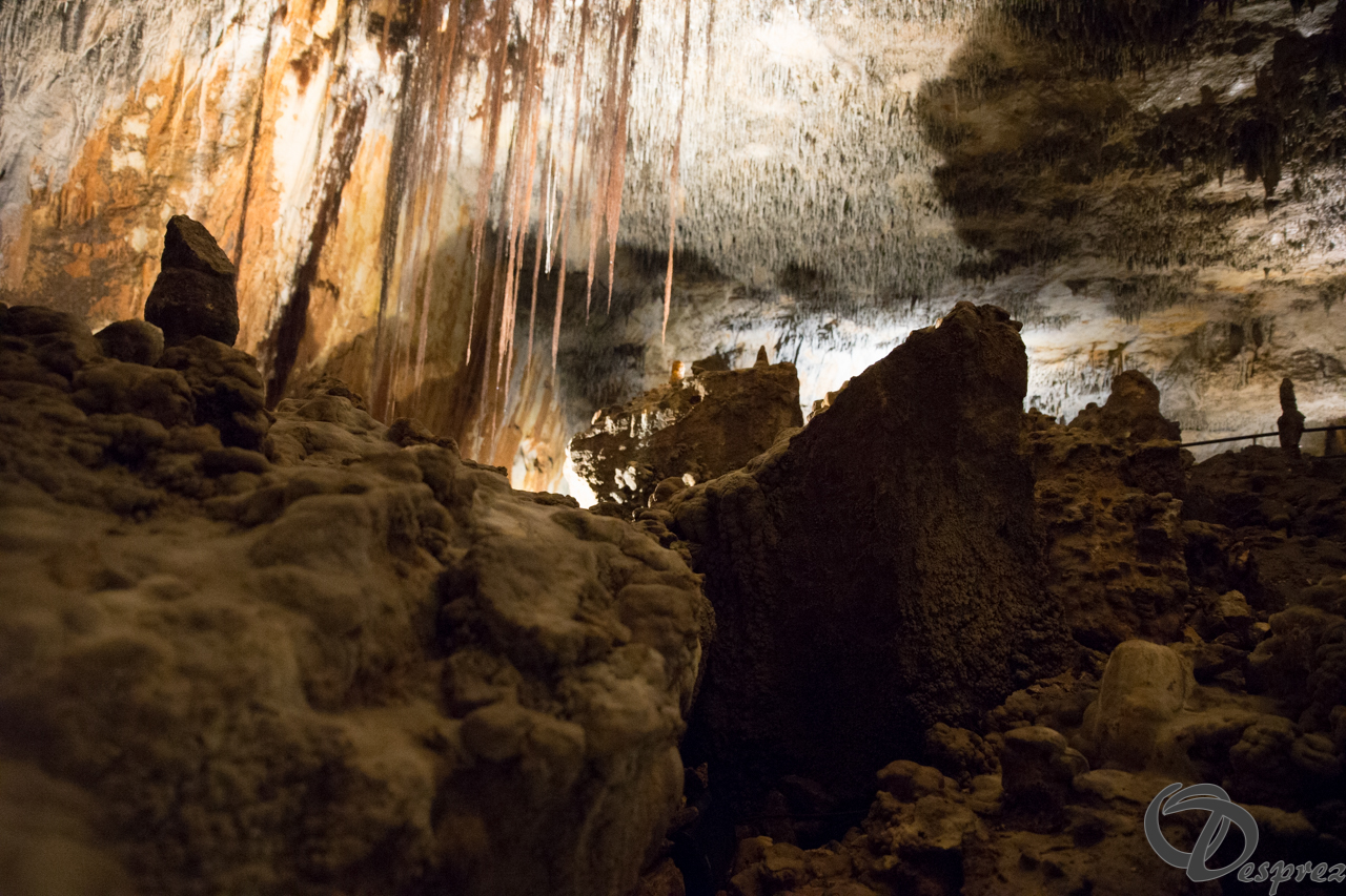 2021-août-12-DSC09064