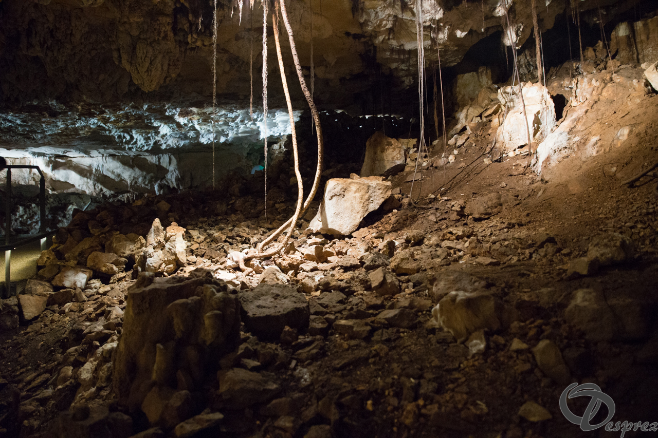 2021-août-12-DSC09065