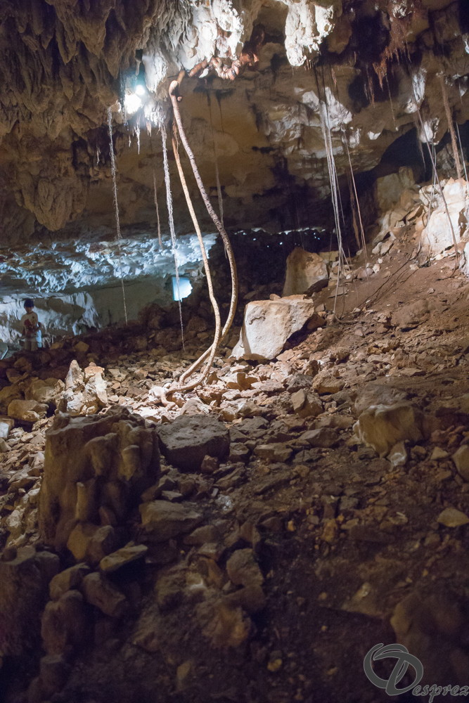 2021-août-12-DSC09066