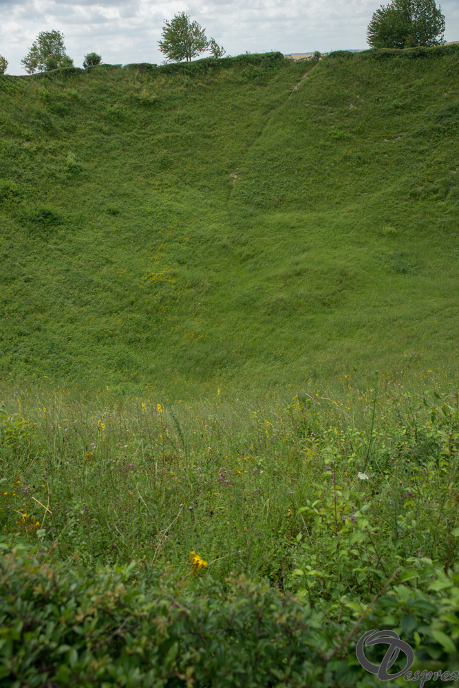 11-DSC08799