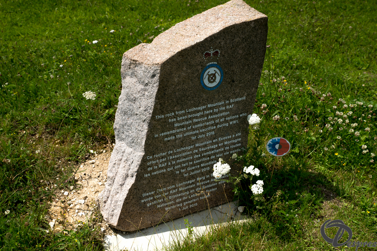 13-DSC08769