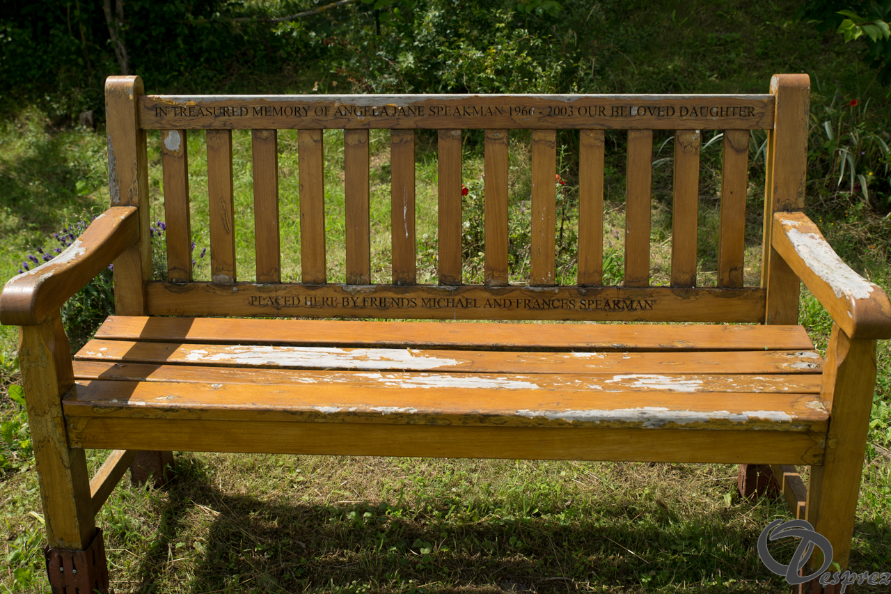 14-DSC08780