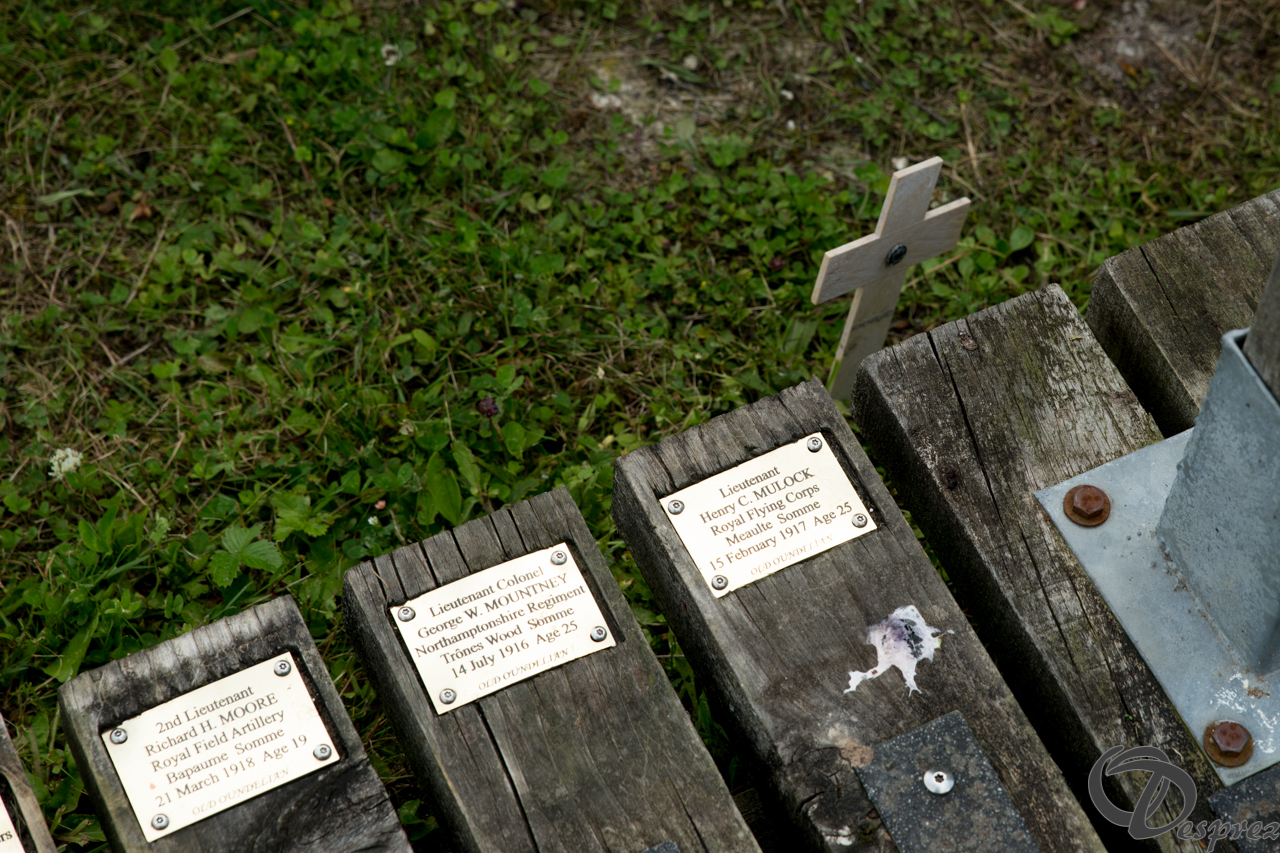 20-DSC08790