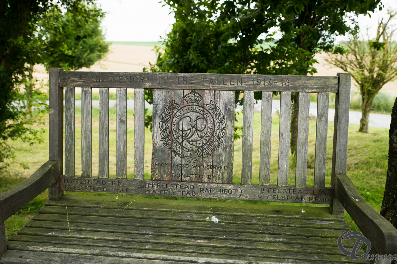 21-DSC08798