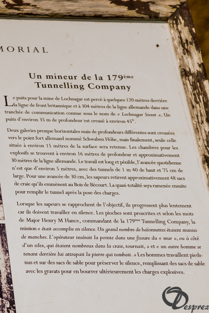 23-DSC08756-2