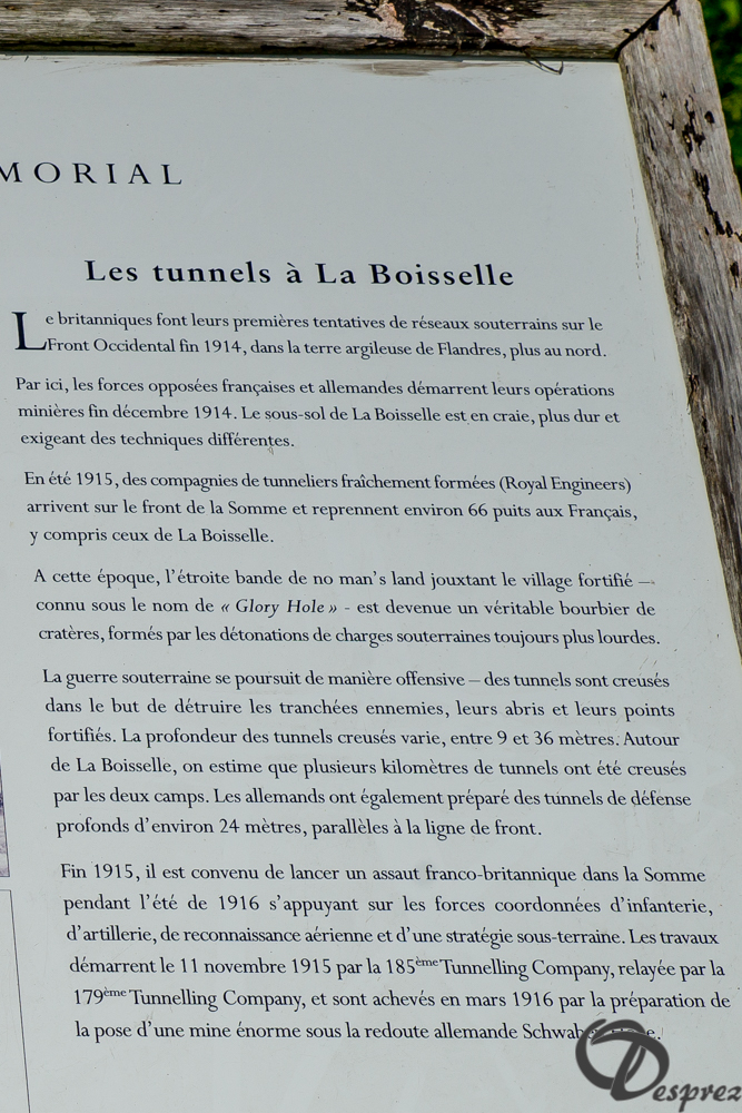 25-DSC08757-2