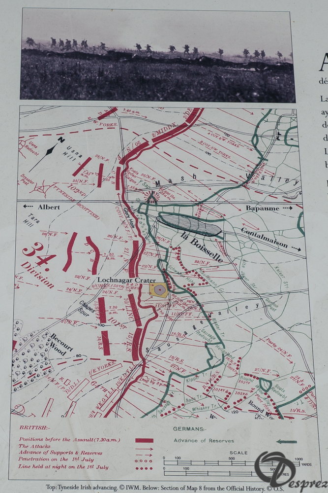 27-DSC08760-2