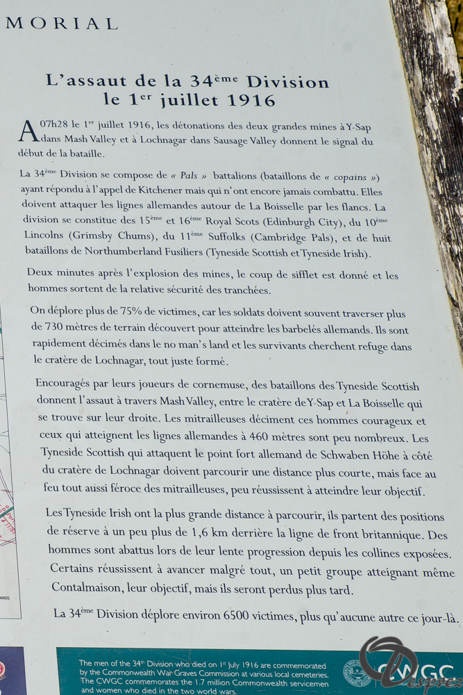 28-DSC08760-3