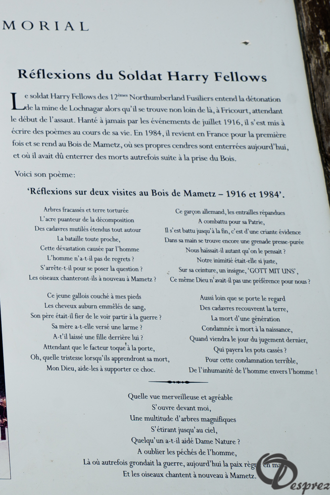 30-DSC08766-2