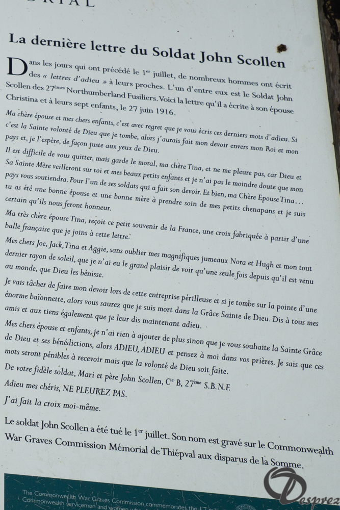DSC08803-2