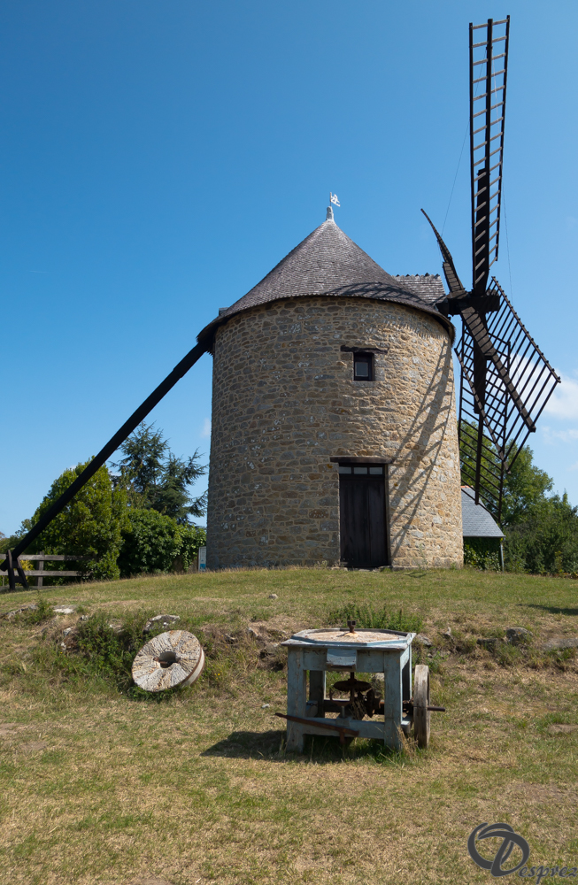 2019-aout-20-DSC03166