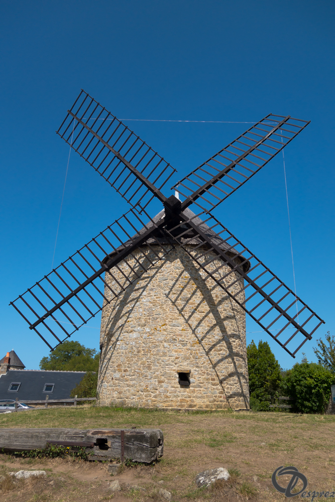 2019-aout-20-DSC03171