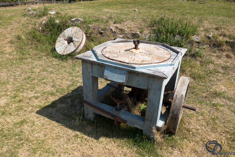 2019-aout-20-DSC03173