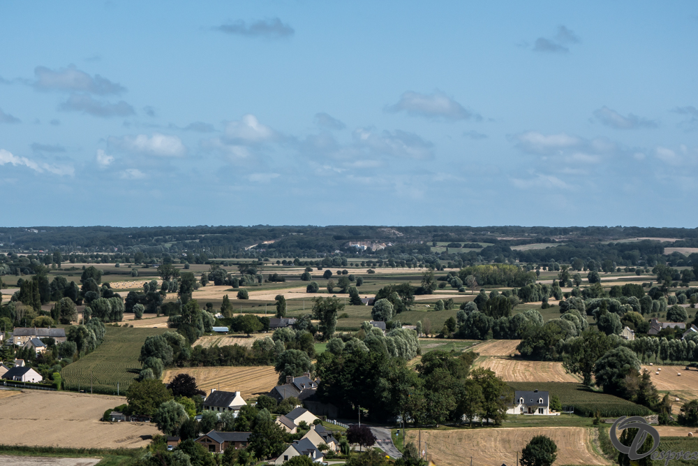 2019-aout-20-DSC03188