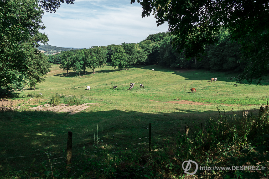 2015-07-18-DSC-00107