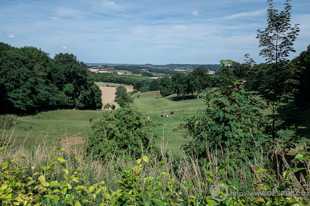 2015-07-18-DSC-00110