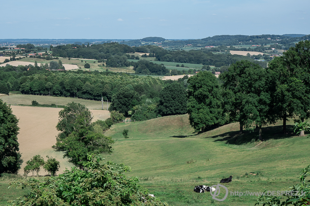 2015-07-18-DSC-00111