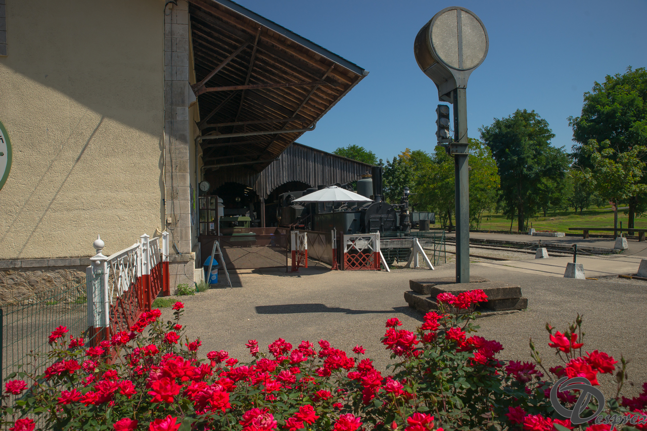 2021-août-14-DSC09265