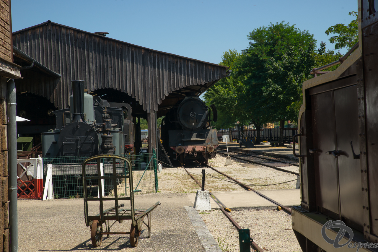 2021-août-14-DSC09268