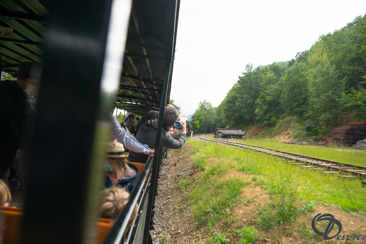 2021-août-16-DSC09305