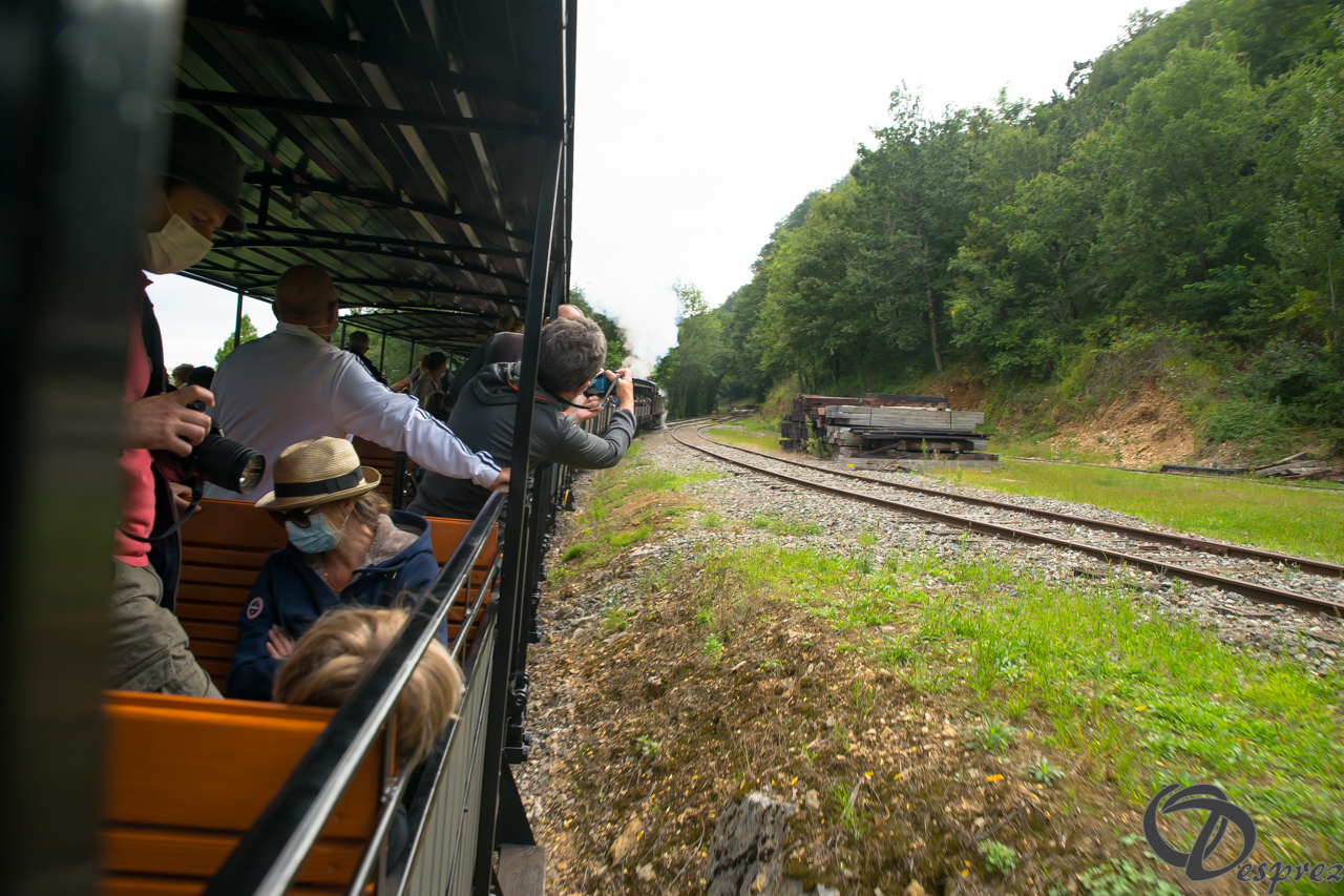 2021-août-16-DSC09306