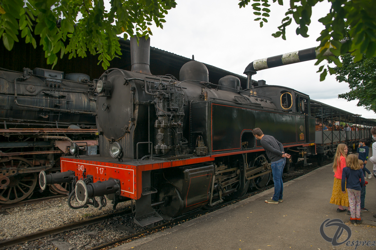 2021-août-16-DSC09313