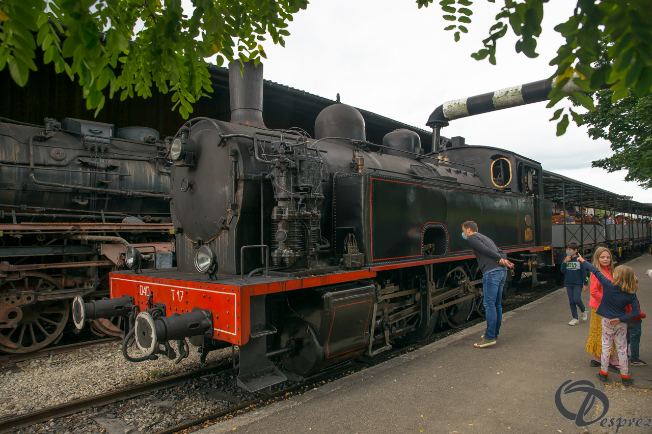 2021-août-16-DSC09314