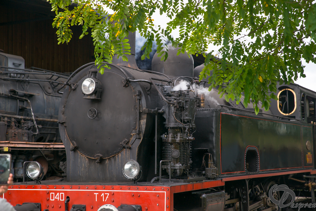 2021-août-16-DSC09316