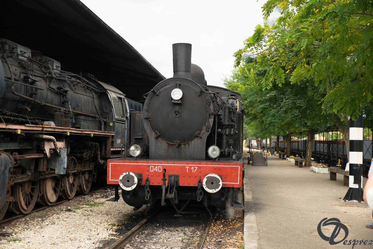 2021-août-16-DSC09317