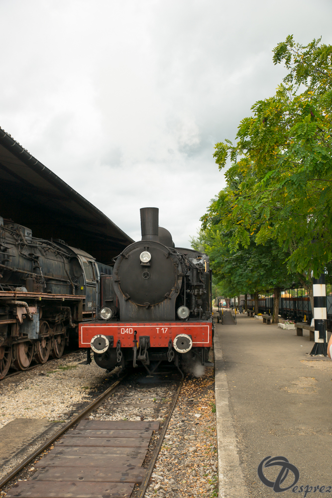 2021-août-16-DSC09318