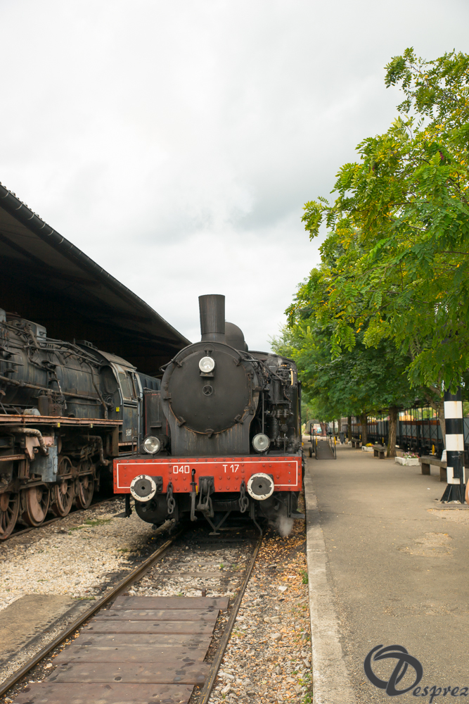 2021-août-16-DSC09319