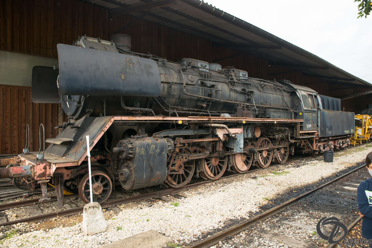 2021-août-16-DSC09325