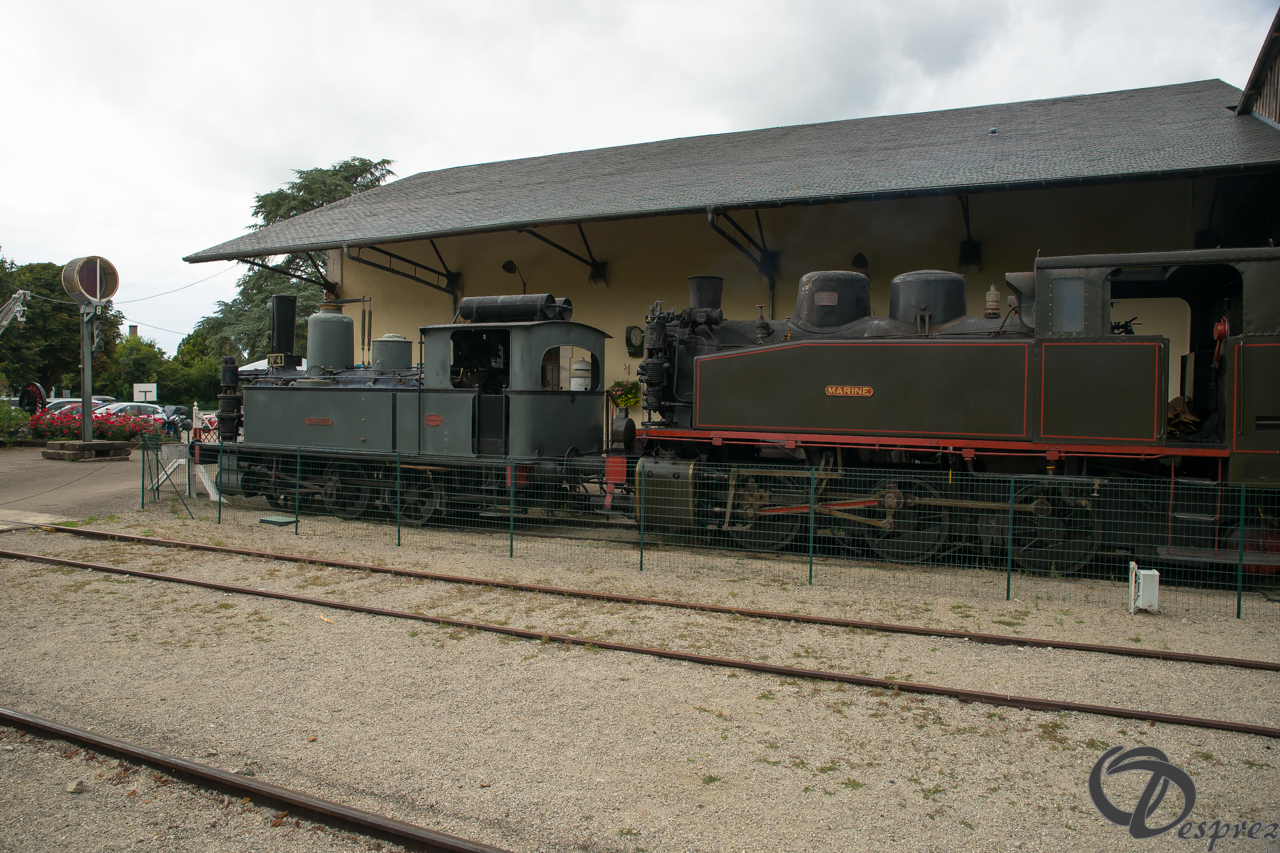 2021-août-16-DSC09327