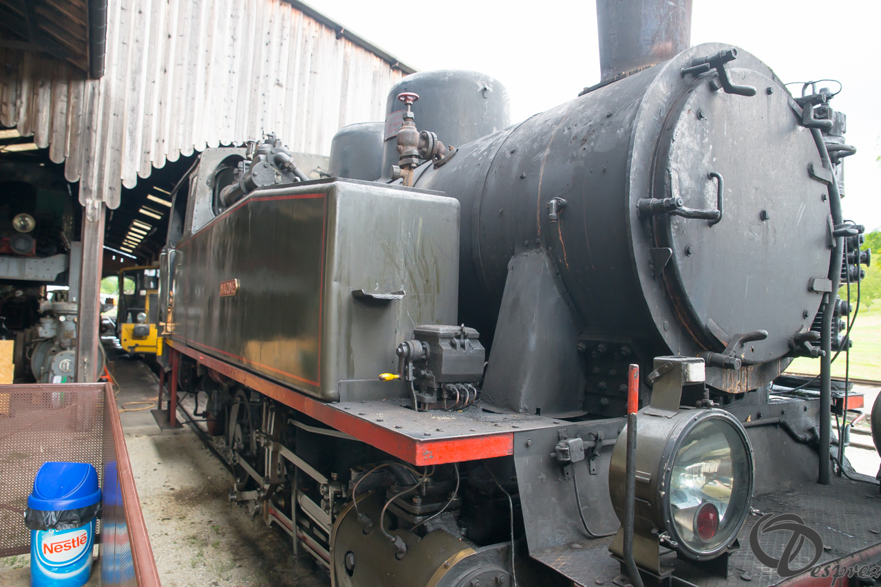 2021-août-16-DSC09330