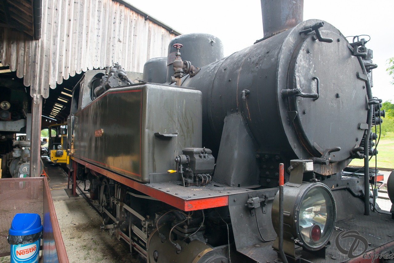 2021-août-16-DSC09331