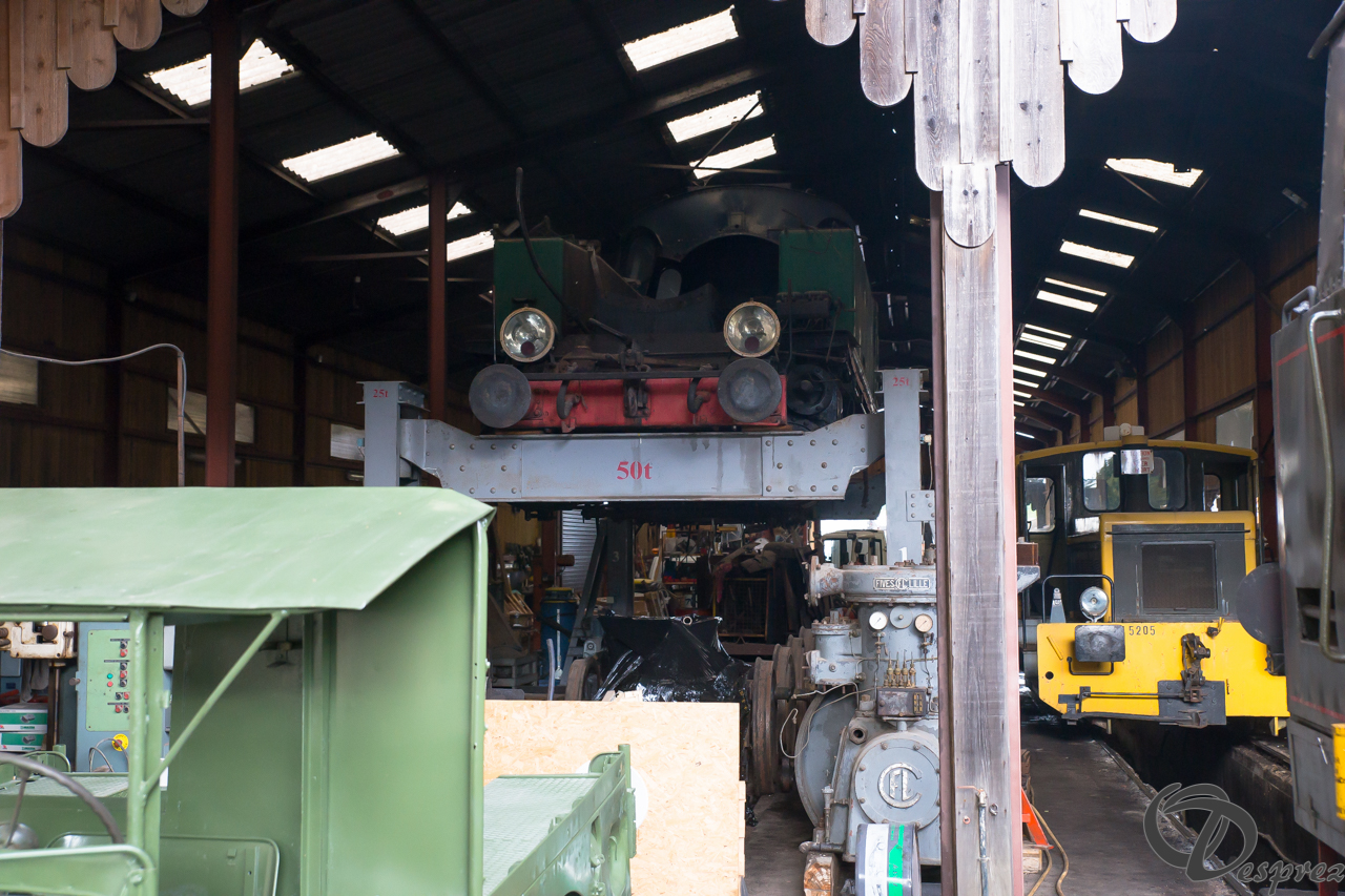 2021-août-16-DSC09333