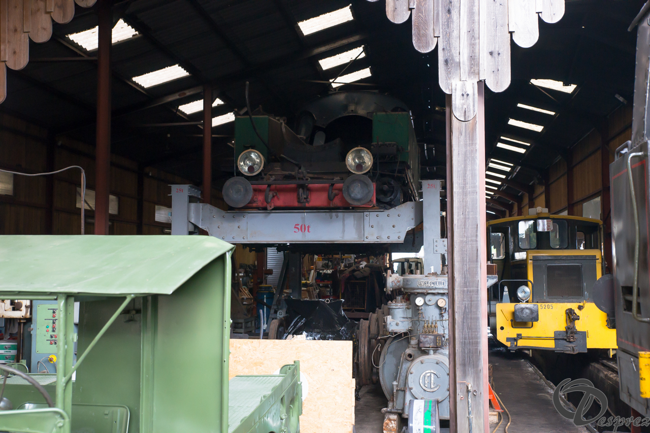 2021-août-16-DSC09334