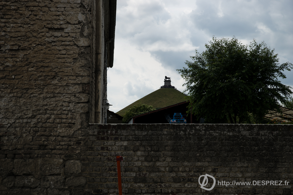 2014-02-24-DSC-01529