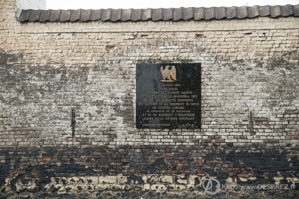 2014-02-24-DSC-01530