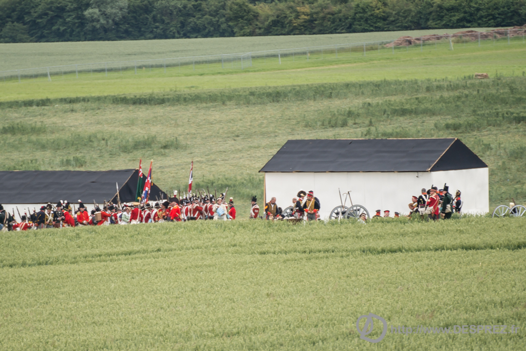 2014-02-24-DSC-01593