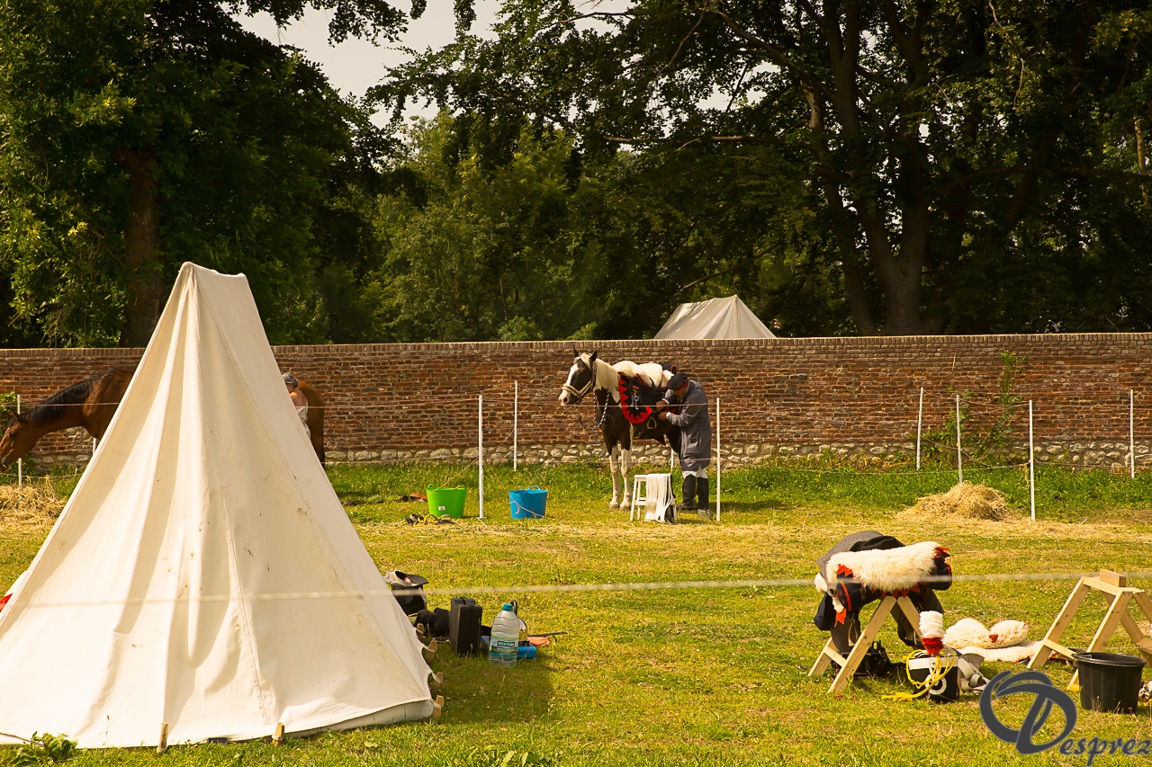 2022-juin-18-DSC09672