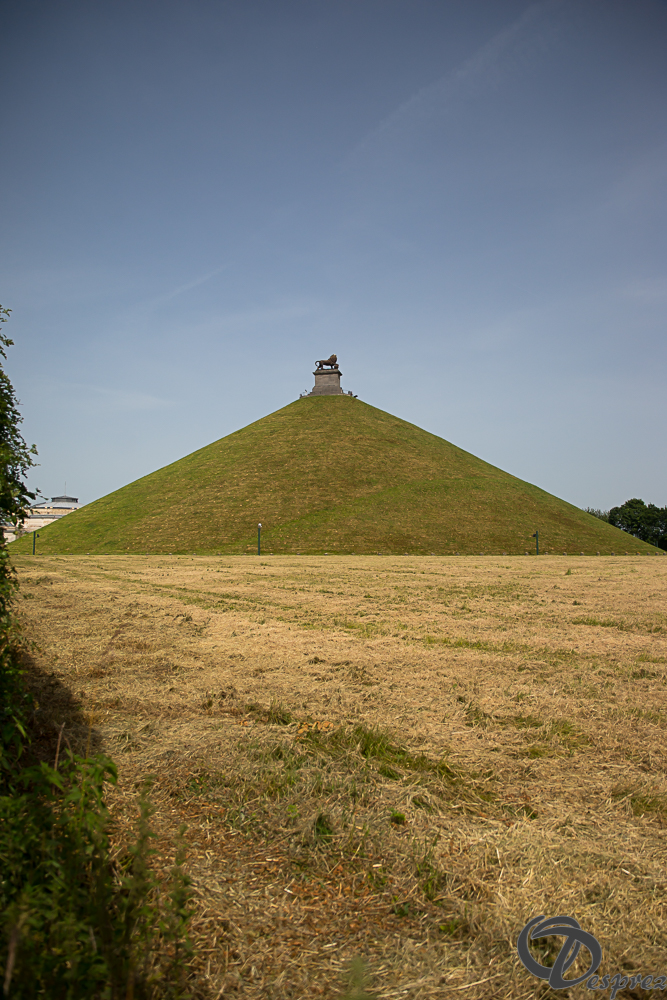 2022-juin-18-DSC09679