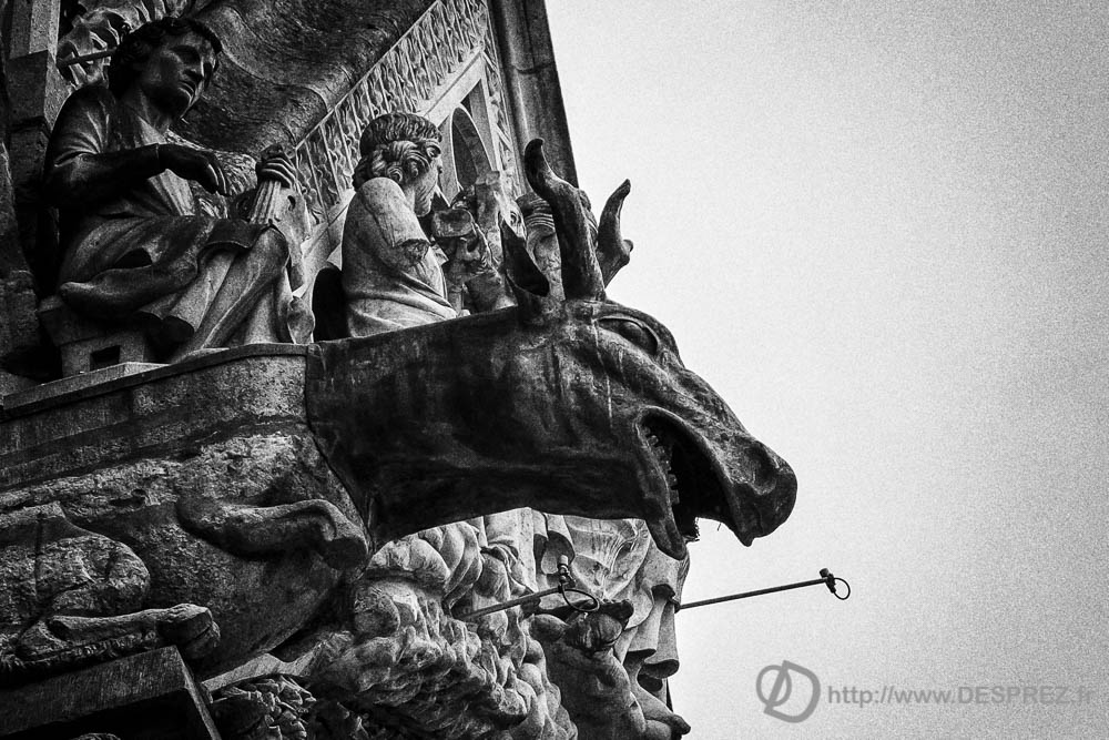 13 avril 2017DSC01572-Modifier