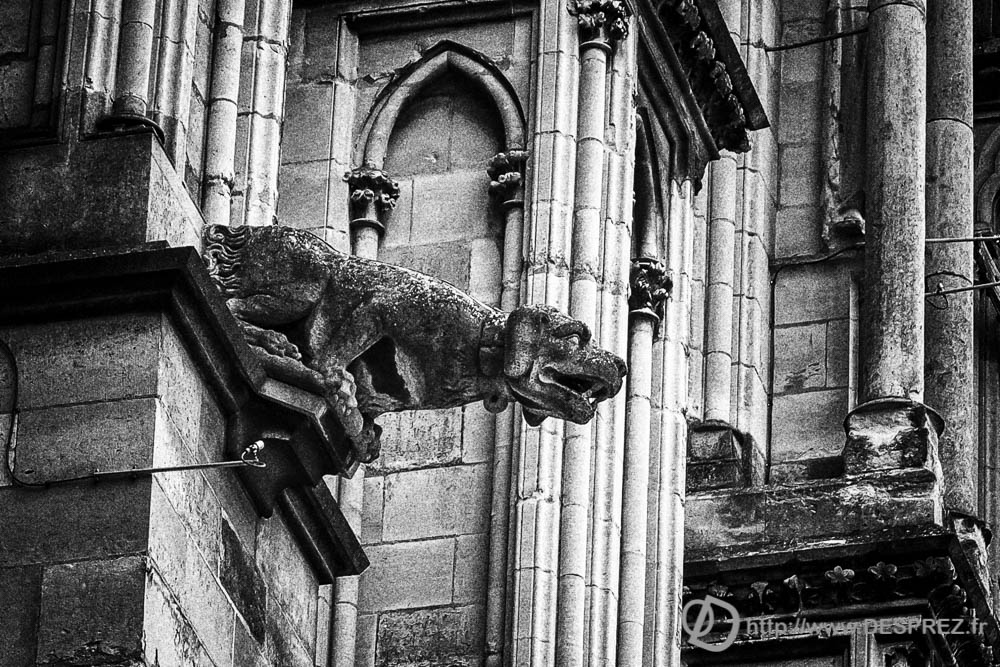 13 avril 2017DSC01575-Modifier