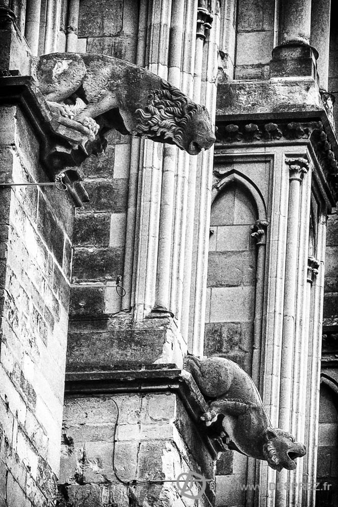 13 avril 2017DSC01576-Modifier