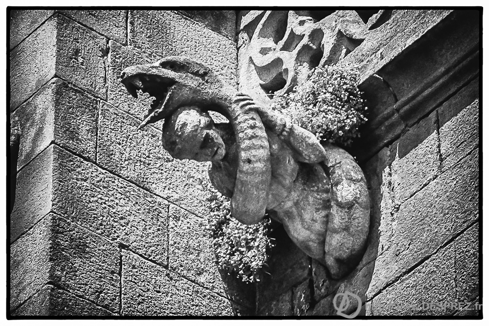 2017-07-25-DSC02151-Modifier