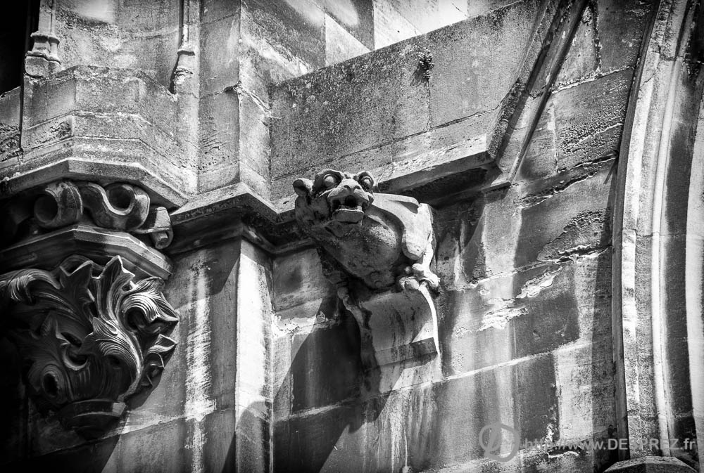 22 juillet 2016DSC00982-Modifier