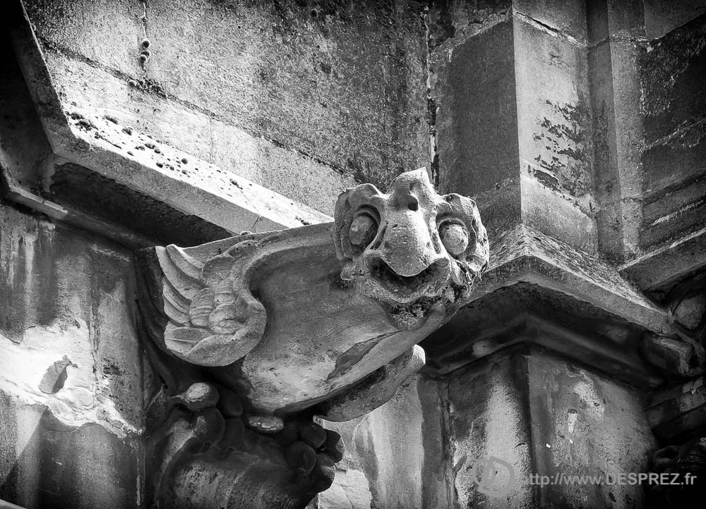 22 juillet 2016DSC00984-Modifier