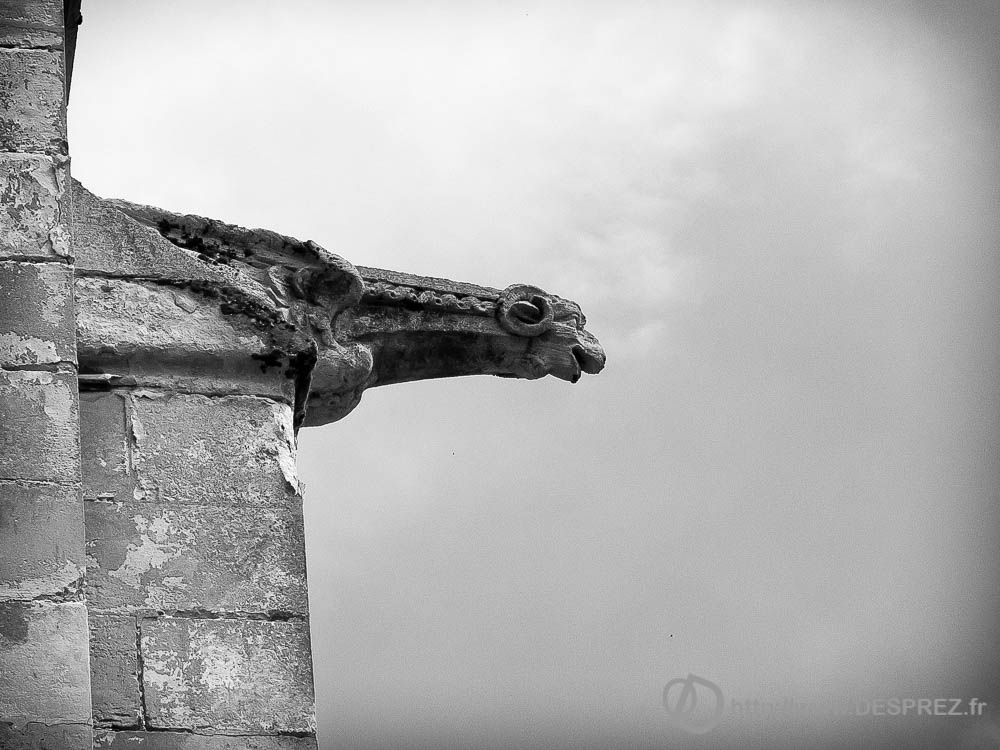 22 juillet 2016DSC00985-Modifier-2